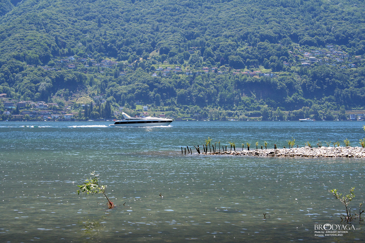 Ascona